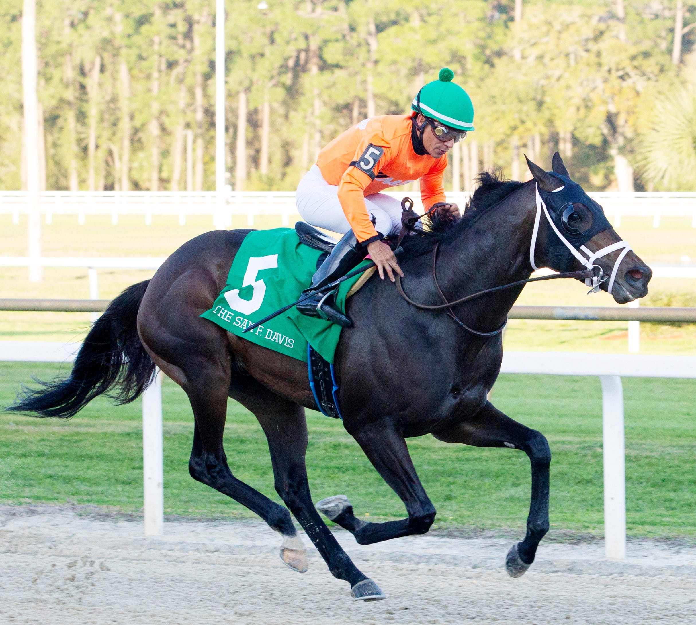 No More Time possible for either Tampa Bay Derby or Florida Derby